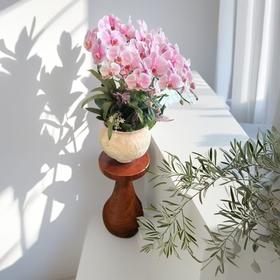 香樟木墩摆件（快递时效3-5天）