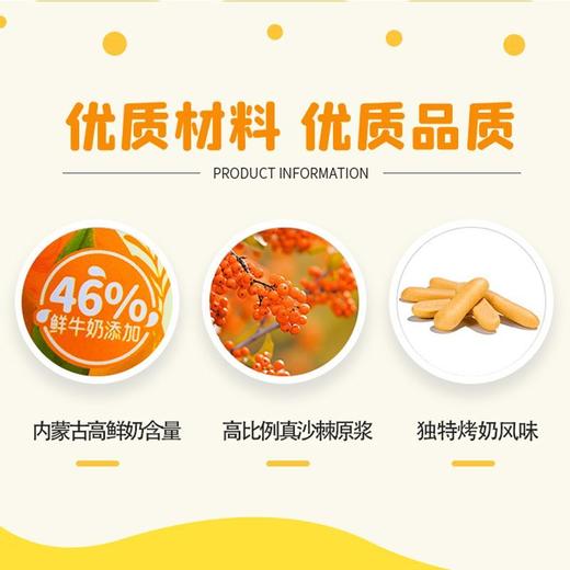 蒙小言金沙棘烤奶醇118g 商品图2