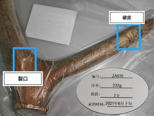 【特价促】梅花鹿头茬二杠小枝鹿茸 特价残鹿茸 存在切断枝、破皮、角上长新枝包或花皮等 15元/克 售出不退换【可免费提供打粉服务】 商品图0