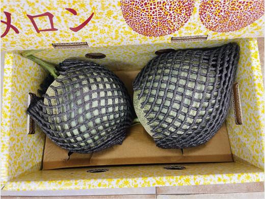 2粒网纹蜜瓜一箱 商品图1
