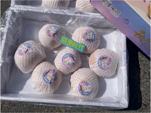 聚隆秋月梨礼盒 商品图2
