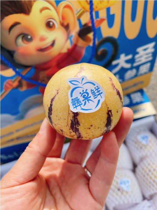大圣人参果礼盒 商品图4