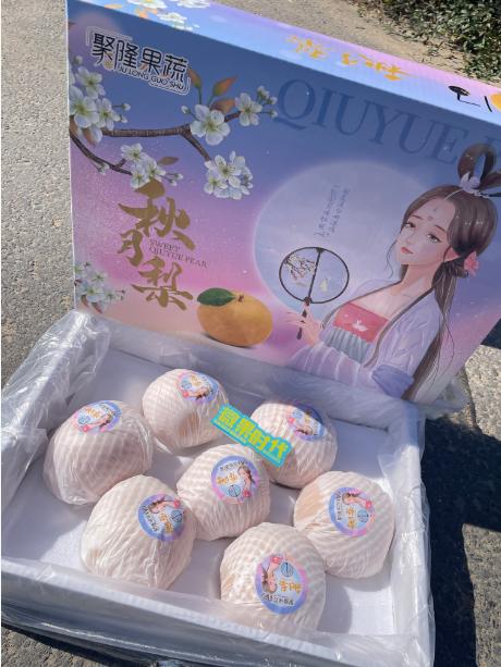 聚隆秋月梨礼盒 商品图0