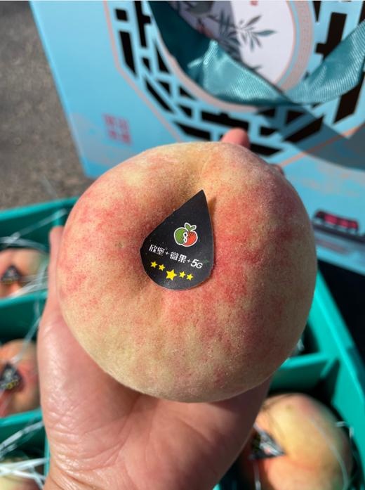 桃你欢喜水蜜桃礼盒 商品图4