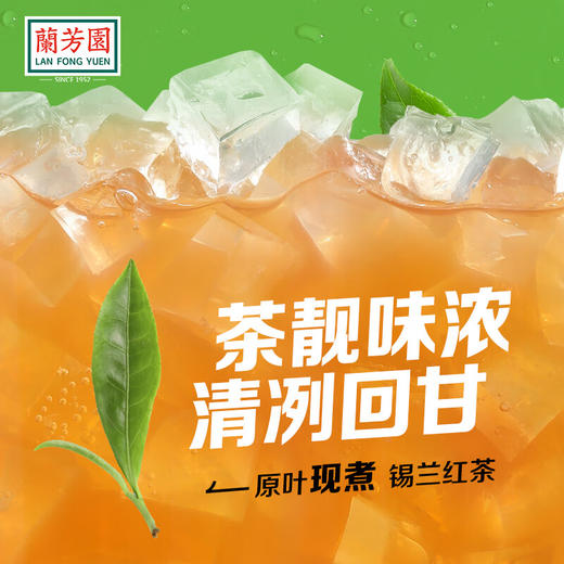 兰芳园冻柠茶500ml 商品图2