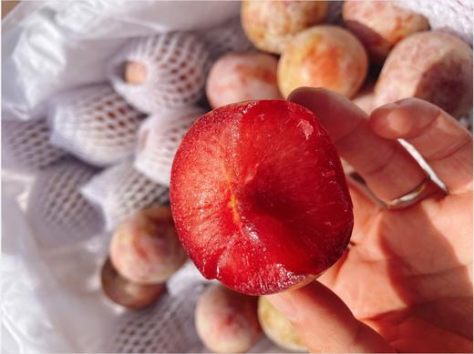 西瓜李子一斤 商品图2