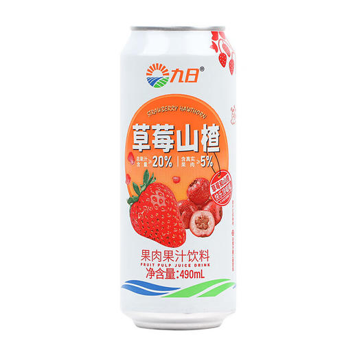 九日大果肉果汁饮料490ml 商品图0