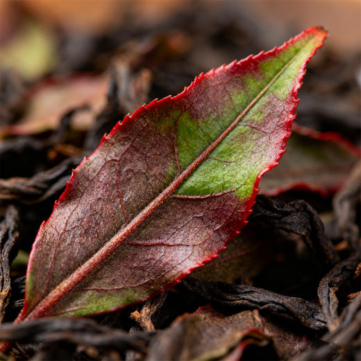 染溪大红袍8克×30泡 商品图3