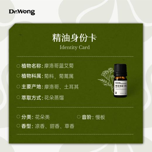 摩洛哥蓝艾菊 单方精油 商品图2