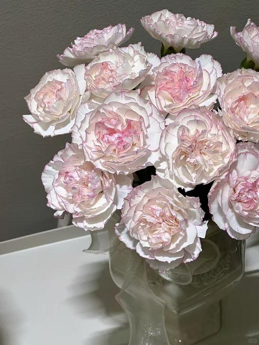 精品鲜花【GY】 商品图4