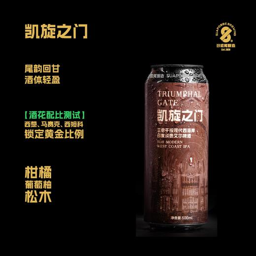 【冷库储存】沙坡尾啤酒 凯旋之门三倍干投现代西海岸IPA啤酒 7.2%vol 500ml 商品图0