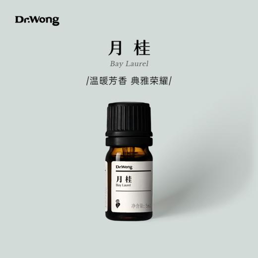 月桂 单方精油 商品图0