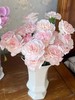 精品鲜花【GY】 商品缩略图5