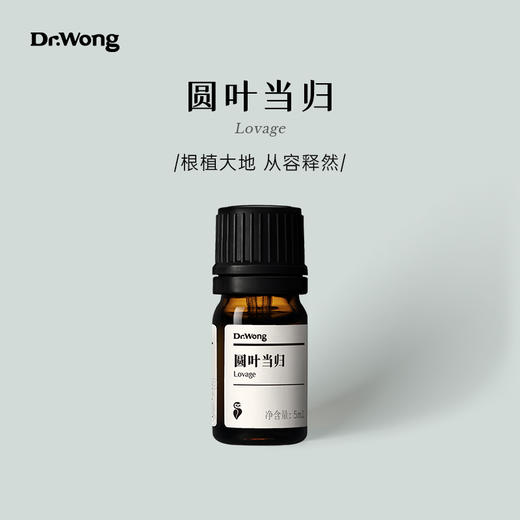 圆叶当归 单方精油 商品图0