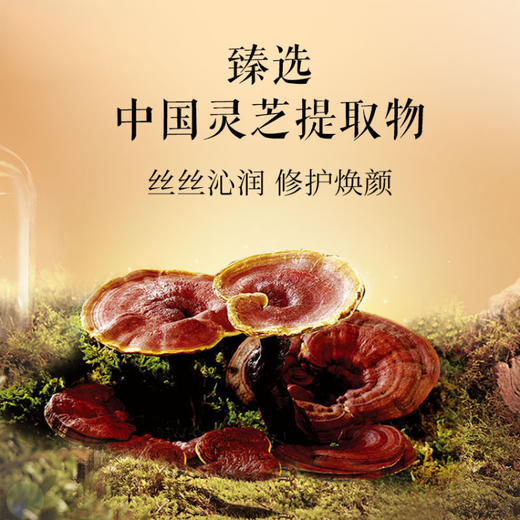 TST灵芝肌秘 精粹霜50g 商品图1