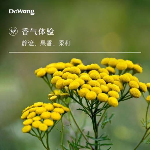 摩洛哥蓝艾菊 单方精油 商品图1