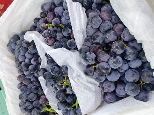 大箱蓝莓葡萄一箱 商品图0