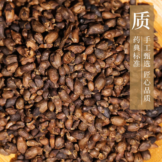 槐花炭 康美中药饮片 独立小包装10g起 商品图2