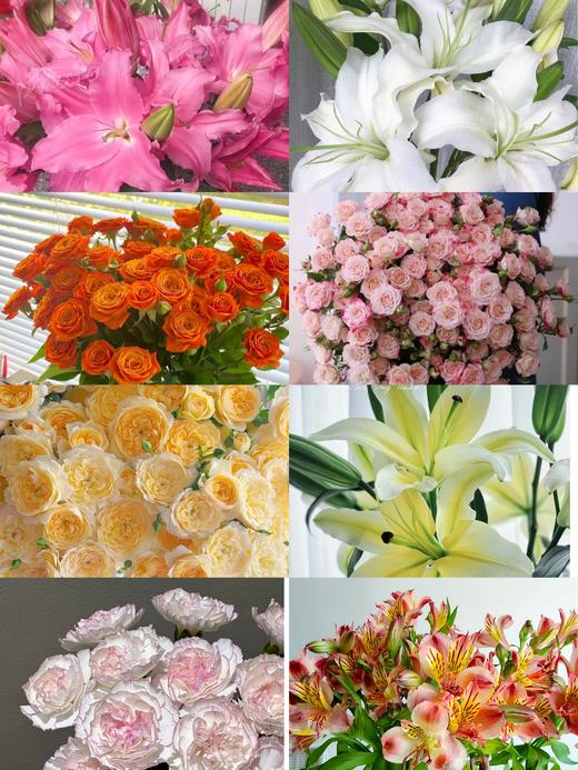精品鲜花【GY】 商品图0