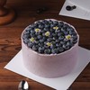 【多肉蓝莓巧克力蛋糕】叮当热卖蛋糕-鲜果奶油蛋糕 商品缩略图0