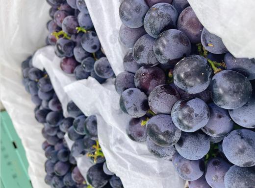 大箱蓝莓葡萄一箱 商品图2