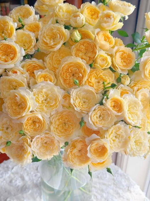 精品鲜花【GY】 商品图14