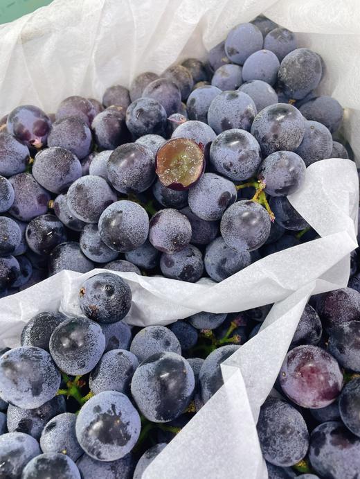 大箱蓝莓葡萄一箱 商品图1