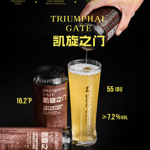 【冷库储存】沙坡尾啤酒 凯旋之门三倍干投现代西海岸IPA啤酒 7.2%vol 500ml 商品图2