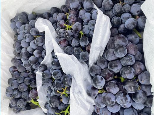 大箱蓝莓葡萄一箱 商品图3