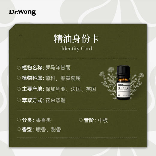 罗马洋甘菊 单方精油 商品图2