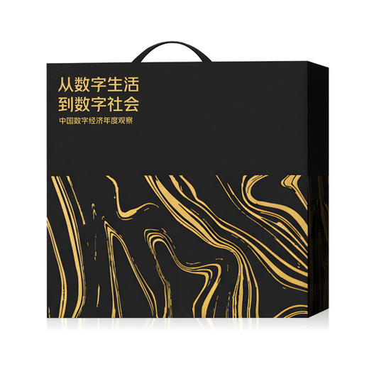 从数字生活到数字社会——中国数字经济年度观察2025 商品图4