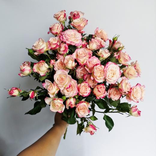 精品鲜花【GY】 商品图10