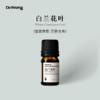 白兰花叶 单方精油 商品缩略图0