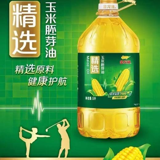 金龙鱼精选玉米油5L/桶【FY】 商品图0