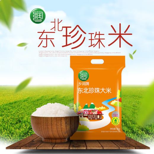 乡润东北珍珠大米5kg【BC】【XLLY】 商品图0