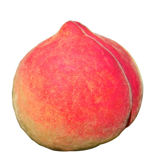 【丽江雪桃】顺丰空运到家 个大饱满 肉质紧致 肉厚香甜 脆甜爽口 色彩鲜艳 均匀漂亮 4种规格任选 商品图11