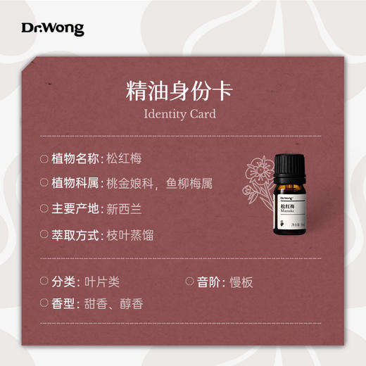 松红梅 单方精油 商品图2