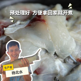 生态草鱼片/鱼腩/鱼骨 | 绿家自产 * Eco- Grass Carp | Self-production