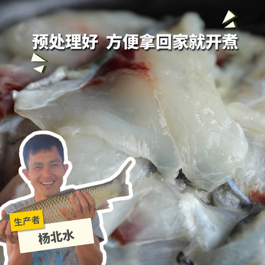 生态草鱼片/鱼腩/鱼骨 | 绿家自产 * Eco- Grass Carp | Self-production 商品图0