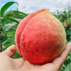 【丽江雪桃】顺丰空运到家 个大饱满 肉质紧致 肉厚香甜 脆甜爽口 色彩鲜艳 均匀漂亮 4种规格任选 商品缩略图3