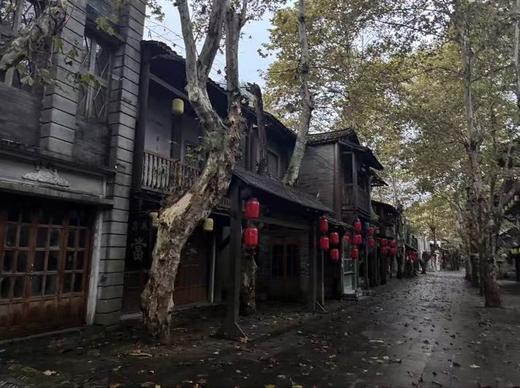 毛尖小镇门票 商品图3