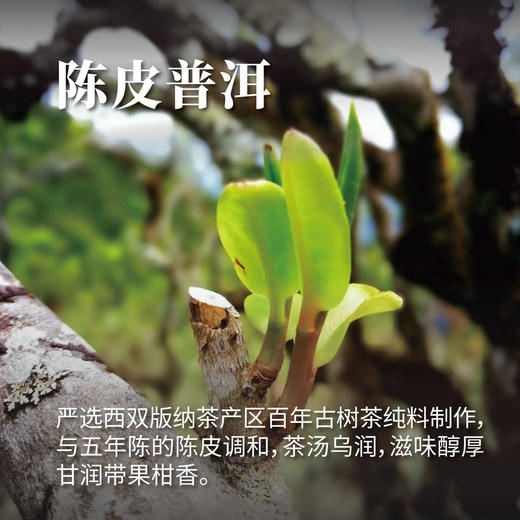 陈皮普洱茶200g(十年期) 商品图1