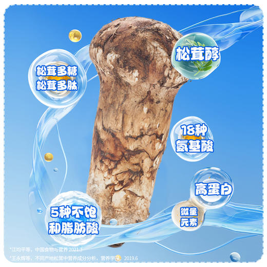 贡极松茸.家庭装 野生松茸100g 商品图4