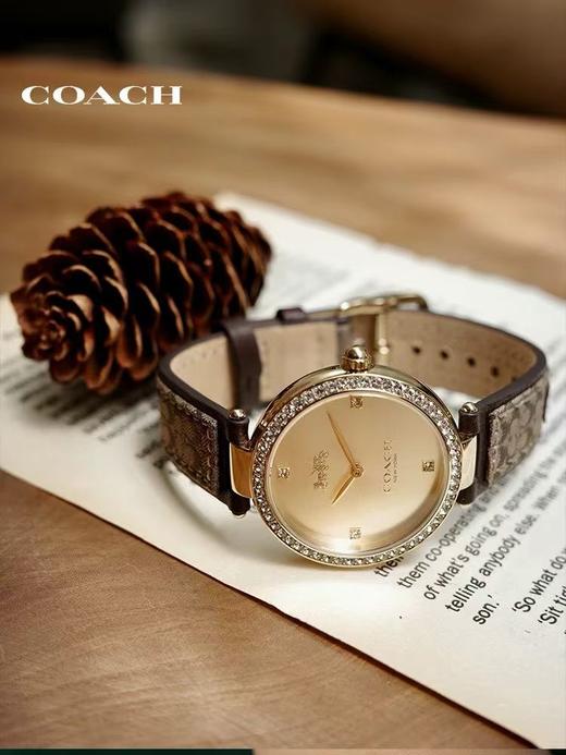 仅此一批，COACH蔻驰手表女款PARK水晶日晖纹老花皮革石英表 送女生礼物 商品图0