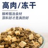 醇粹全价冻干猫粮/金标猫粮/黑标猫粮 商品缩略图1