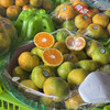 当季云南无核蜜橘一份约500g 商品缩略图0