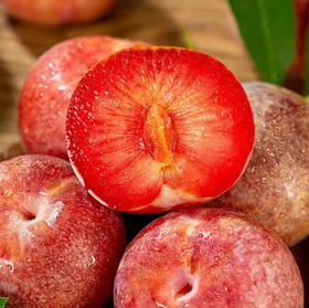 新疆恐龙蛋李子5个装（500g左右）