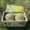 吃海茫茫「牛3蜜瓜」大瓜 整件 约3.5kg 商品缩略图8