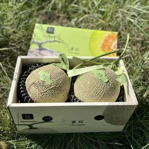 吃海茫茫「牛3蜜瓜」大瓜 整件 约3.5kg 商品图8