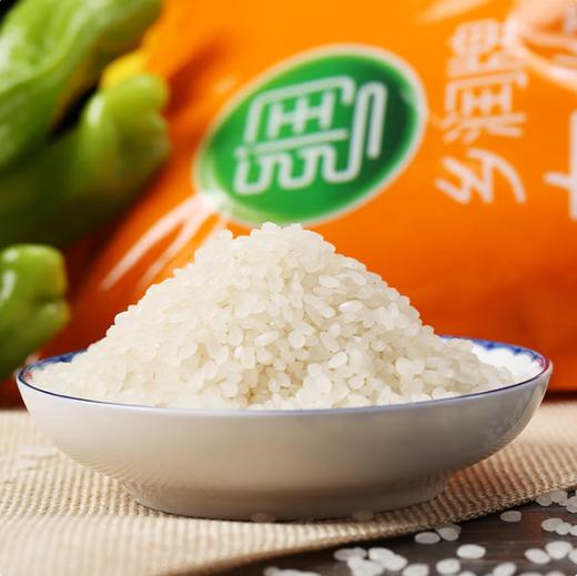 乡润东北珍珠大米5kg【BC】【XLLY】 商品图1